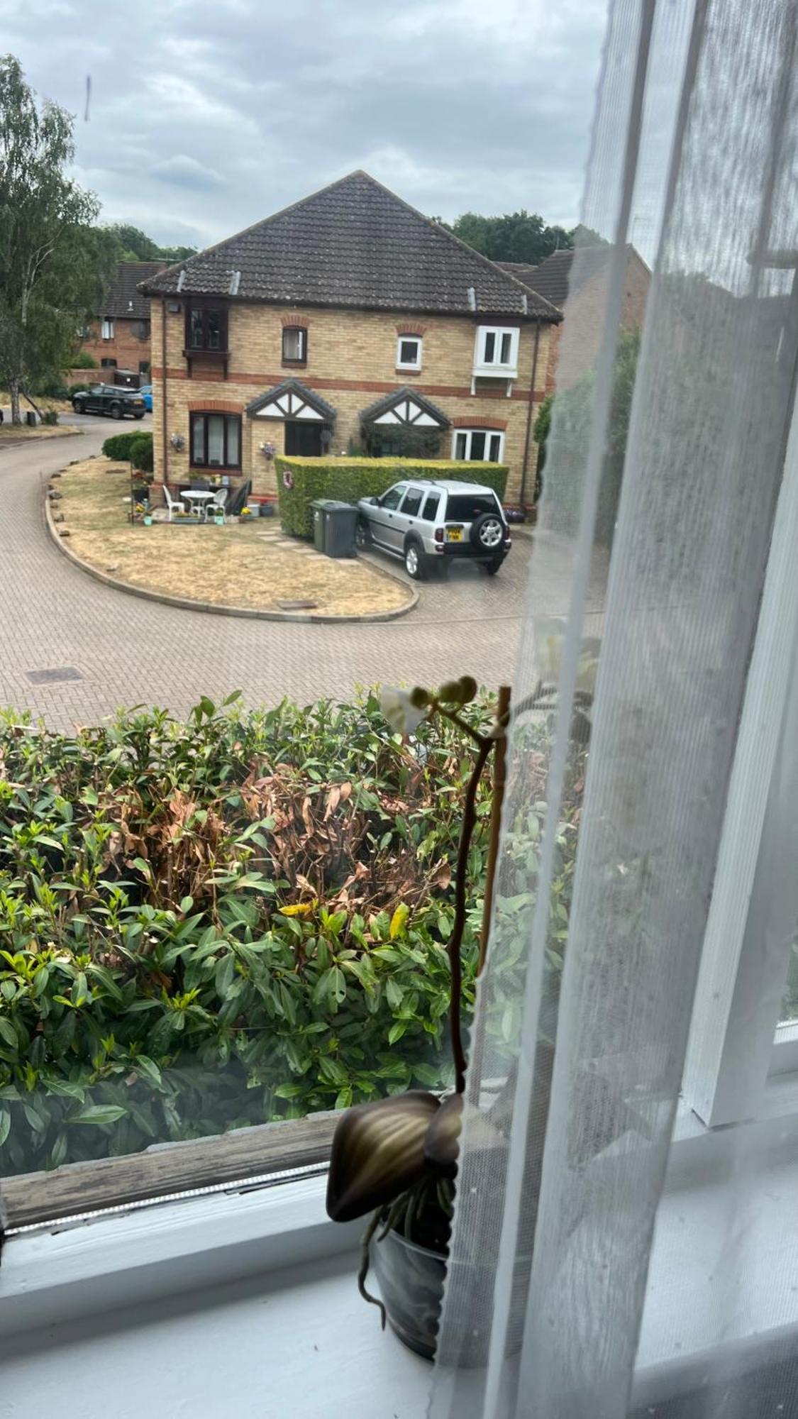 Beautiful Apartment In Guildford With Parking Send 外观 照片